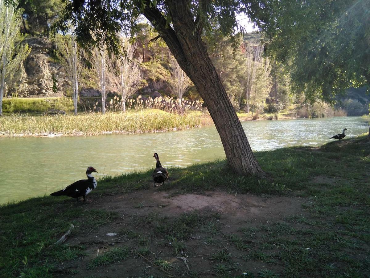 Hébergement de vacances Adosado, Cerca De En Zona De Montana Y Playa Fluvial Valence